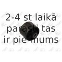 Piekare, Pārnesumkārba FORTUNE LINE FZ90566