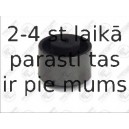 Kronšteins, Motora piekare FORTUNE LINE FZ90553