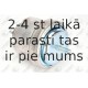 Подвеска, двигатель FORTUNE LINE FZ90547