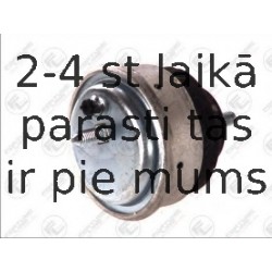 Подвеска, двигатель FORTUNE LINE FZ90546