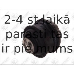 Подвеска, двигатель FORTUNE LINE FZ90538
