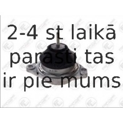 Подвеска, двигатель FORTUNE LINE FZ90537