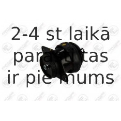 Подвеска, двигатель FORTUNE LINE FZ90536