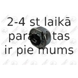 Подвеска, двигатель FORTUNE LINE FZ90534