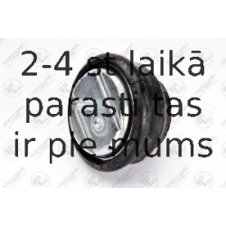 Подвеска, двигатель FORTUNE LINE FZ90533