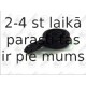 Čaula, Sviras bukse FORTUNE LINE FZ90532