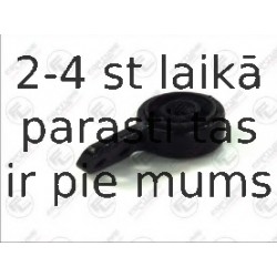Čaula, Sviras bukse FORTUNE LINE FZ90532