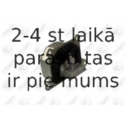 Подвеска, двигатель FORTUNE LINE FZ90529