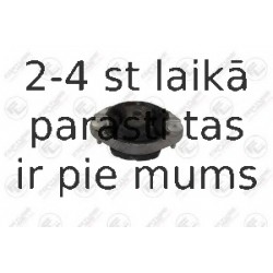 Piekare, Pārnesumkārba FORTUNE LINE FZ90489