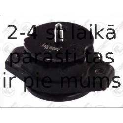 Piekare, Pārnesumkārba FORTUNE LINE FZ90483