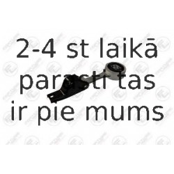 Piekare, Pārnesumkārba FORTUNE LINE FZ90479