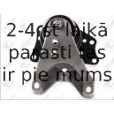 Подвеска, двигатель FORTUNE LINE FZ90478