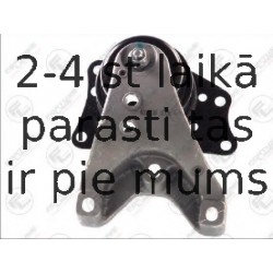 Подвеска, двигатель FORTUNE LINE FZ90478