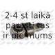 Piekare, Tilta sija FORTUNE LINE FZ90432