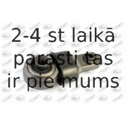 Piekare, Tilta sija FORTUNE LINE FZ90432
