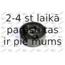 Kronšteins, Motora piekare FORTUNE LINE FZ90421