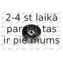 Подвеска, двигатель FORTUNE LINE FZ90420