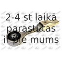 Kronšteins, Motora piekare FORTUNE LINE FZ90419