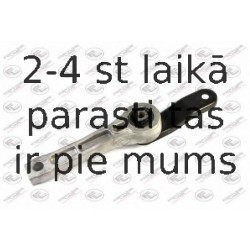 Piekare, Pārnesumkārba FORTUNE LINE FZ90398