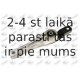 Piekare, Pārnesumkārba FORTUNE LINE FZ90397