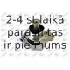 Piekare, Dzinējs FORTUNE LINE FZ90047