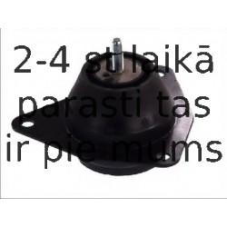 Подвеска, двигатель FORTUNE LINE FZ90025