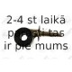 Stiepnis/Atsaite, Stabilizators FORTUNE LINE FZ7238
