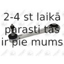 Neatkarīgās balstiekārtas svira, Riteņa piekare FORTUNE LINE FZ7158