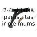 Neatkarīgās balstiekārtas svira, Riteņa piekare FORTUNE LINE FZ6283