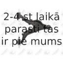 Neatkarīgās balstiekārtas svira, Riteņa piekare FORTUNE LINE FZ6276