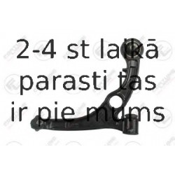 Neatkarīgās balstiekārtas svira, Riteņa piekare FORTUNE LINE FZ6235