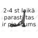 Neatkarīgās balstiekārtas svira, Riteņa piekare FORTUNE LINE FZ6234