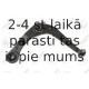 Neatkarīgās balstiekārtas svira, Riteņa piekare FORTUNE LINE FZ6228