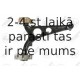 Neatkarīgās balstiekārtas svira, Riteņa piekare FORTUNE LINE FZ6160