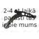 Neatkarīgās balstiekārtas svira, Riteņa piekare FORTUNE LINE FZ6155