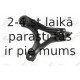 FORTUNE LINE FZ6123