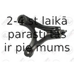 FORTUNE LINE FZ6123