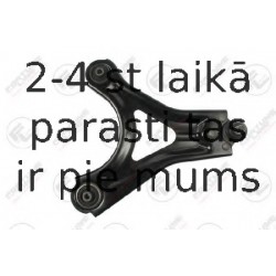 Neatkarīgās balstiekārtas svira, Riteņa piekare FORTUNE LINE FZ6122