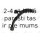 Neatkarīgās balstiekārtas svira, Riteņa piekare FORTUNE LINE FZ6052