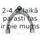Neatkarīgās balstiekārtas svira, Riteņa piekare FORTUNE LINE FZ5735