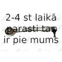 Neatkarīgās balstiekārtas svira, Riteņa piekare FORTUNE LINE FZ5529