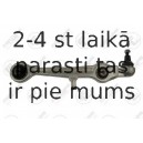 Neatkarīgās balstiekārtas svira, Riteņa piekare FORTUNE LINE FZ5527