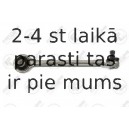 Neatkarīgās balstiekārtas svira, Riteņa piekare FORTUNE LINE FZ5525