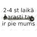 Neatkarīgās balstiekārtas svira, Riteņa piekare FORTUNE LINE FZ5524