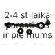 Neatkarīgās balstiekārtas svira, Riteņa piekare FORTUNE LINE FZ5521