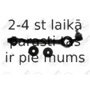 Neatkarīgās balstiekārtas svira, Riteņa piekare FORTUNE LINE FZ5521