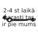 Neatkarīgās balstiekārtas svira, Riteņa piekare FORTUNE LINE FZ5520