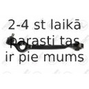 Neatkarīgās balstiekārtas svira, Riteņa piekare FORTUNE LINE FZ5520