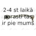 Neatkarīgās balstiekārtas svira, Riteņa piekare FORTUNE LINE FZ5509