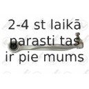 Neatkarīgās balstiekārtas svira, Riteņa piekare FORTUNE LINE FZ5508